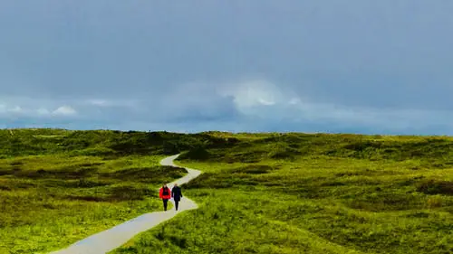 De Wadden, een uniek gebied in Nederland