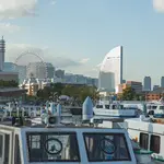 cruise boeken bij welke rederij?