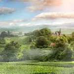 Een korte vakantie in de Franse Ardennen