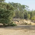 De Lutte (ov)