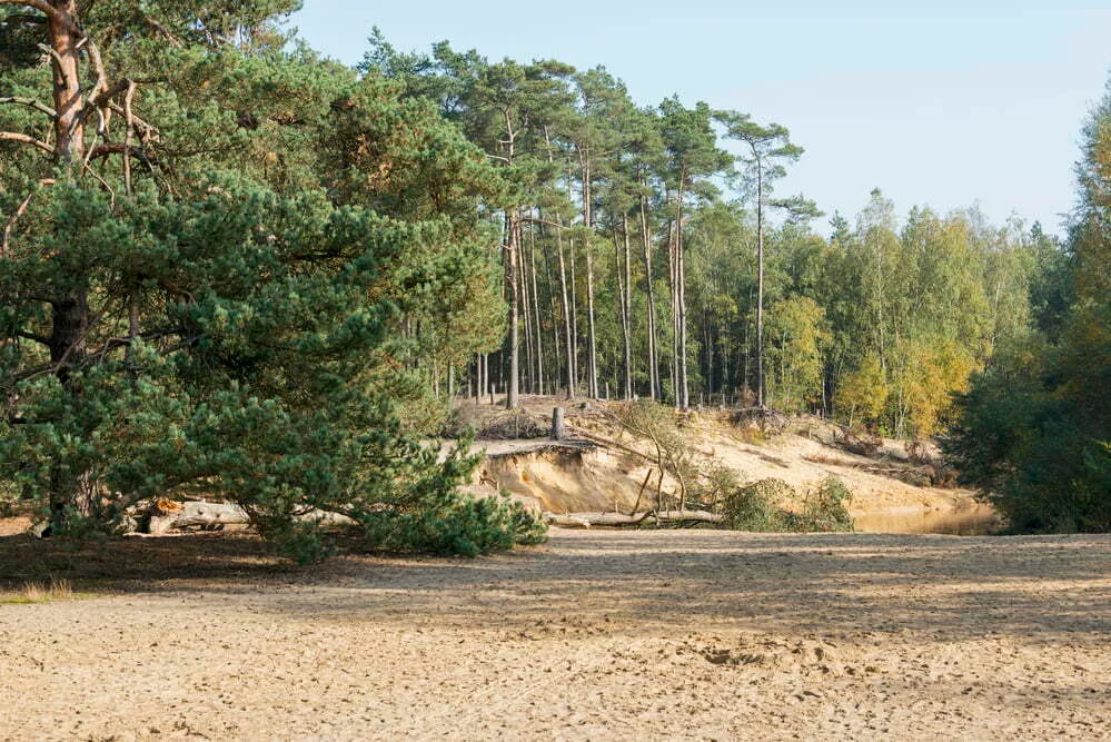 De Lutte (ov)