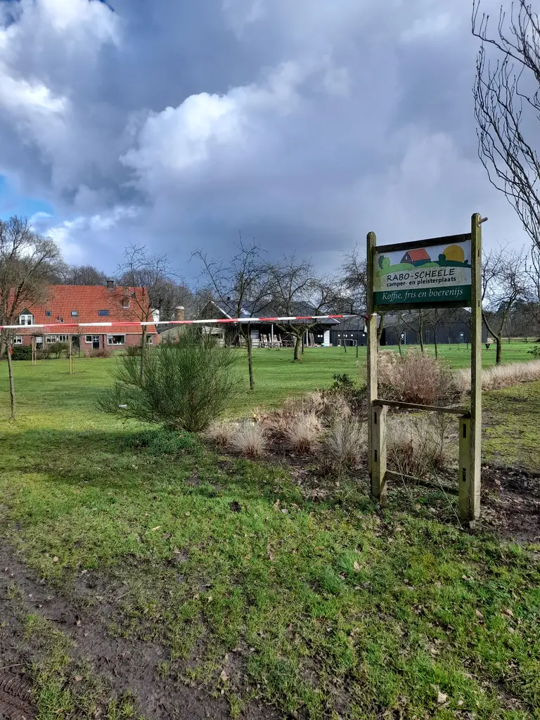 rabo scheele