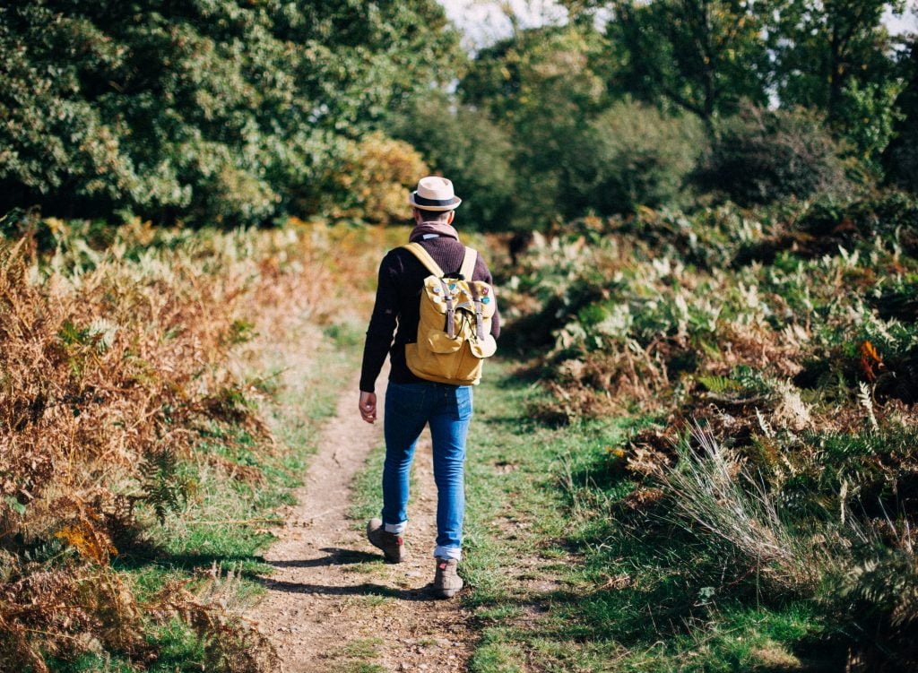 Het Zwarte Woud-een wandelmekka