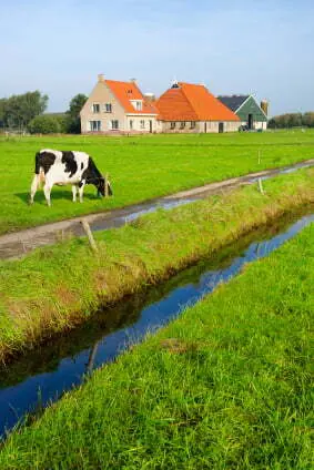 alles over fietsen in Nederland