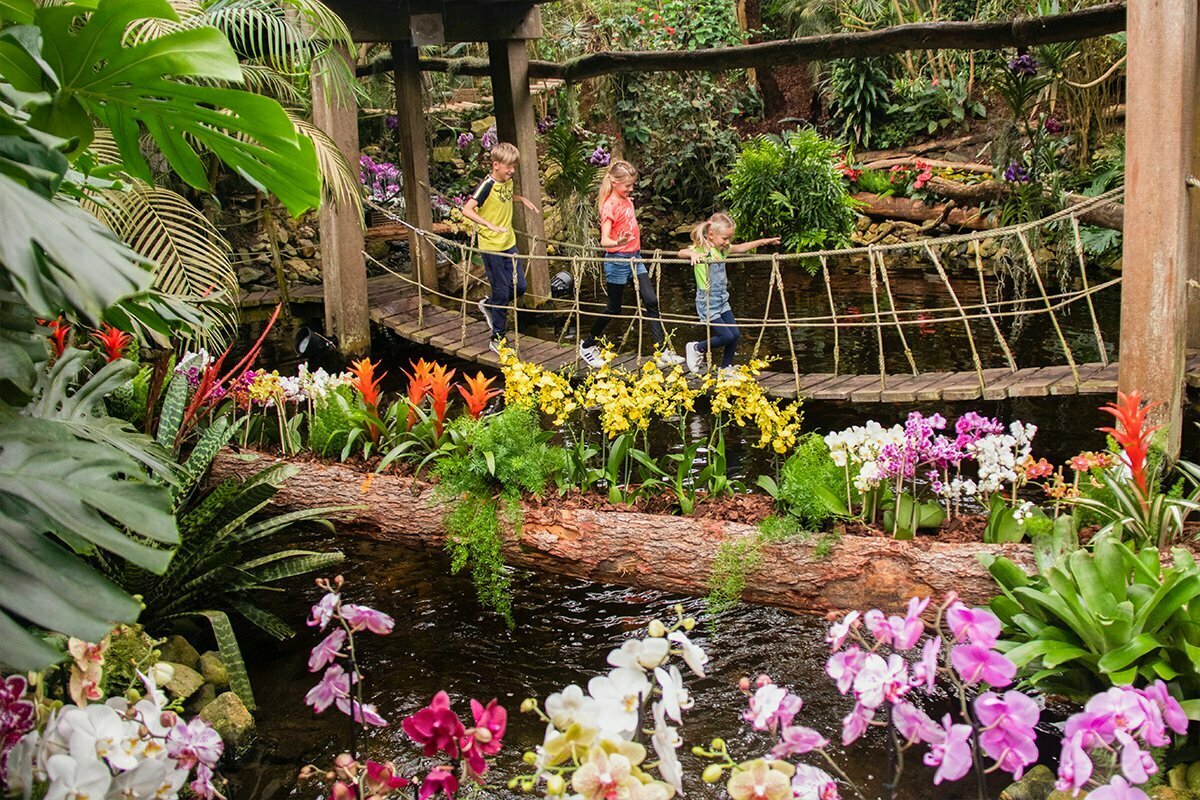 тайланд парк орхидей