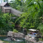 Emmen –  WILDLANDS Adventure Zoo
