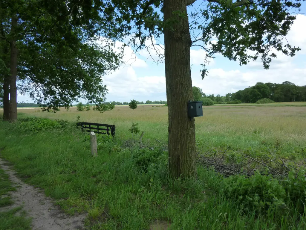wandeltocht zweeloo