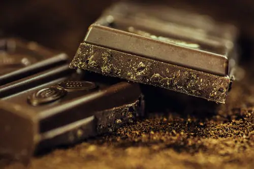 Chocoladeverslaving door bacterie
