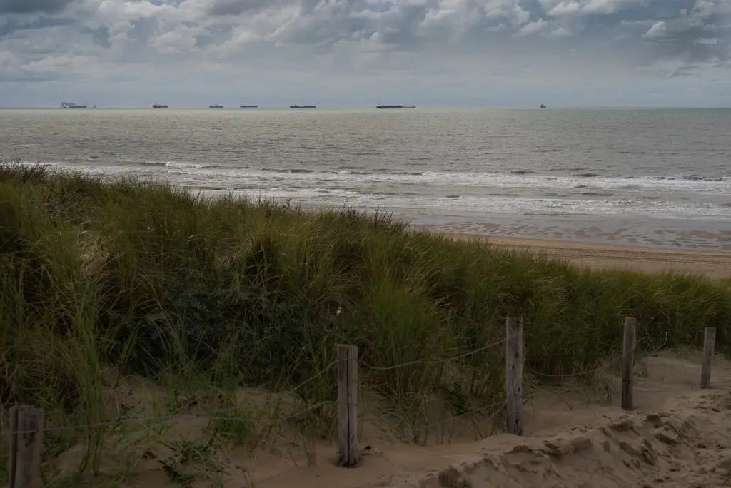 Strandvijfdaagse
