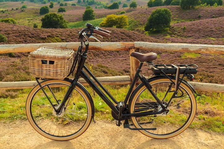 fiets en e-bike van het jaar 2011