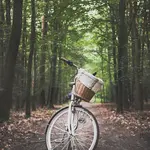 Betuwse Fietsvierdaagse