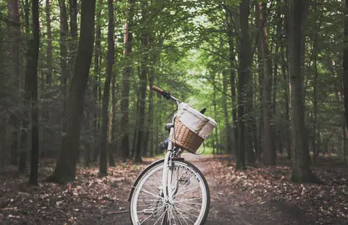 Betuwse Fietsvierdaagse