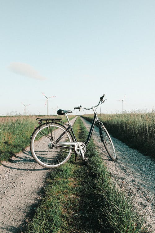 fietsen in nederland