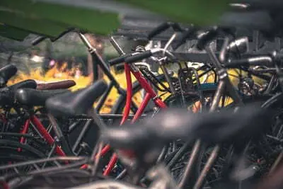 Verken Nederland op de fiets