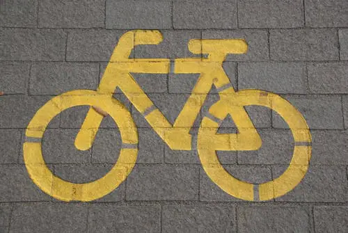 Een paard op het fietspad
