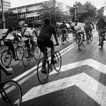allemaal op de fiets