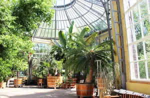 hortus