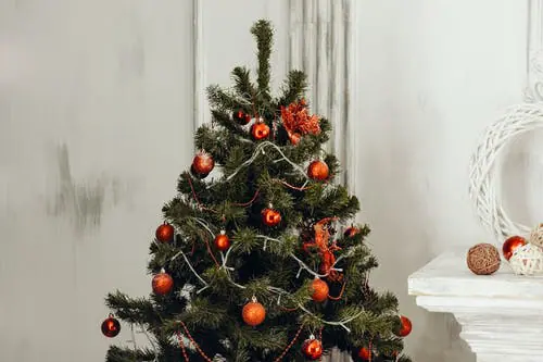 huisdier ook dol op kerstversiering
