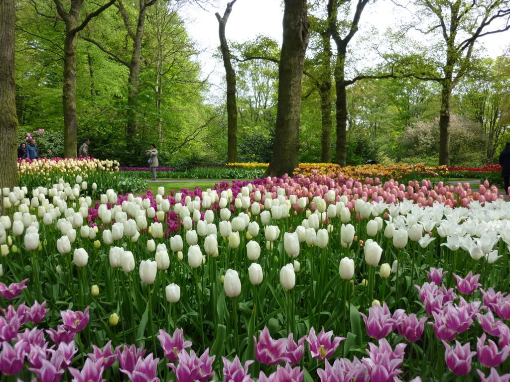 oorsprong van de Keukenhof