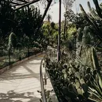 Royal Botanic Gardens