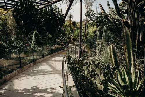 Royal Botanic Gardens
