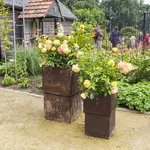 lottum