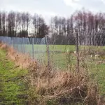 Wandelen op blote voeten in de Hof van Twello