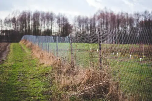 fietsen door Natuurgebied de Engbertsdijkvenen