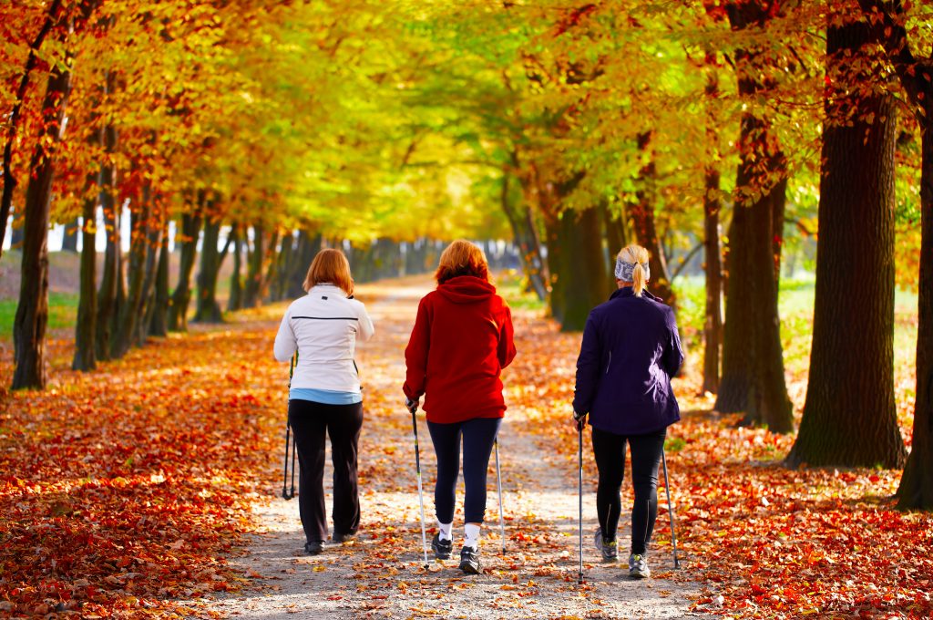 Herfstwandeling landgoed Schovenhorst