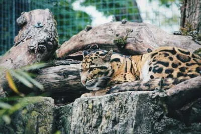 Ouwehands Dierenpark