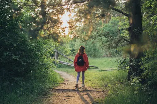 wandelen door het park