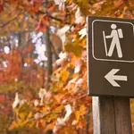 Wandelroute van het Jaar 2019