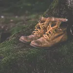 Wandelvierdaagse Het Gooi
