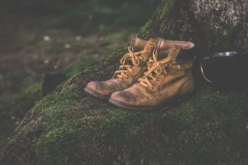 Wandelvierdaagse Het Gooi