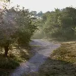 Wandel4daagse “Schoorlse Duinen
