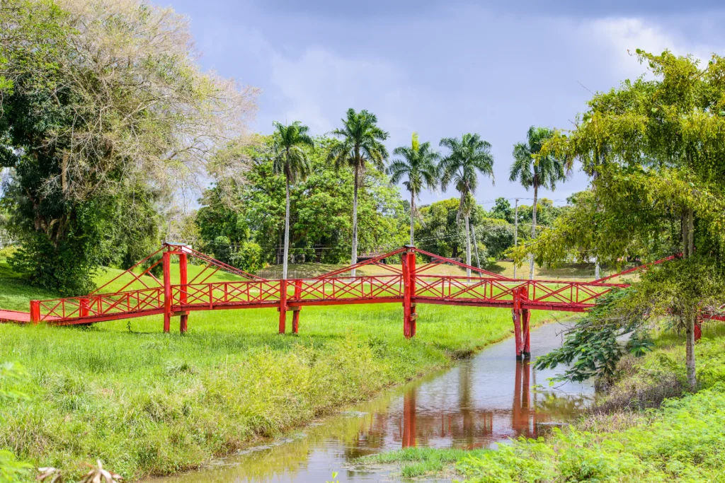 Suriname | Je voelt je er snel thuis.