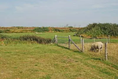 rondritten over eiland Texel