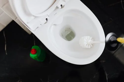 toilet schoonmaken