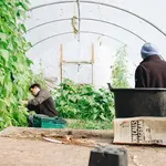 Tuintips december