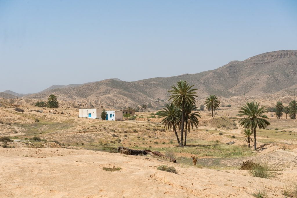 Tunesië | Gevarieerd landschap met stranden en bergen.