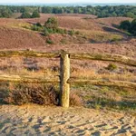 Fietstochten over de Veluwe