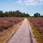 Veel Luwe Smultour