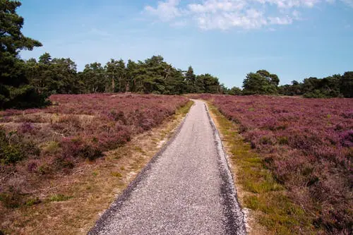 Veel Luwe Smultour
