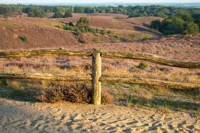Fietstochten over de Veluwe