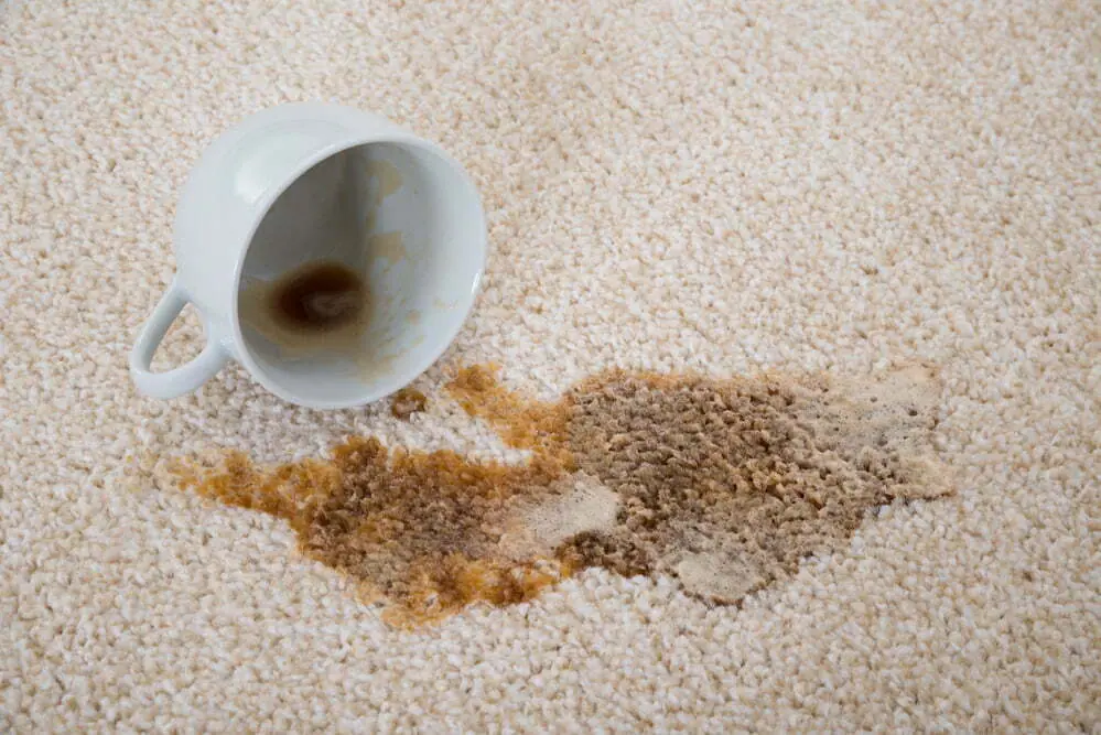 Koffie- of theevlek snel verwijderen