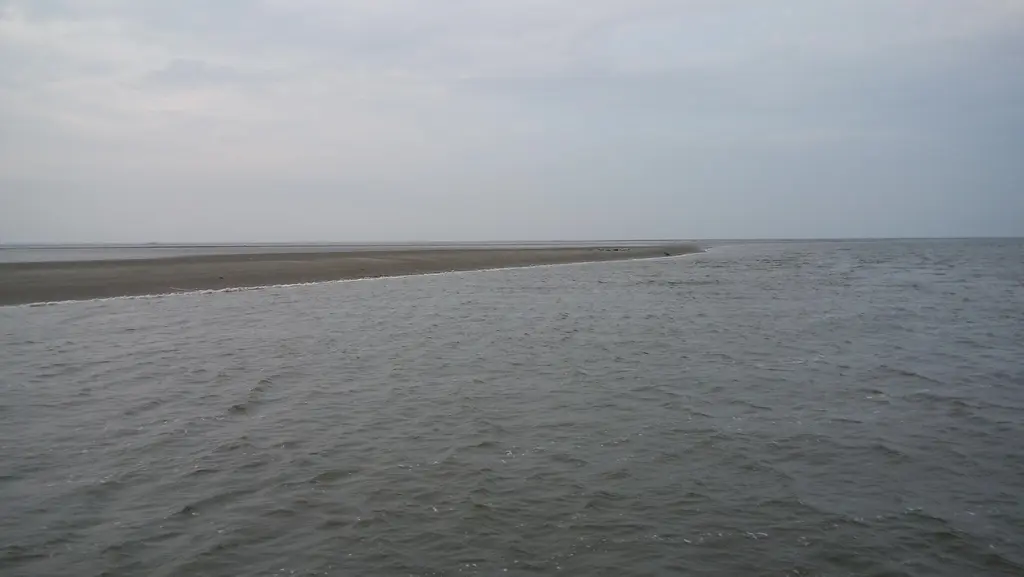 terschelling