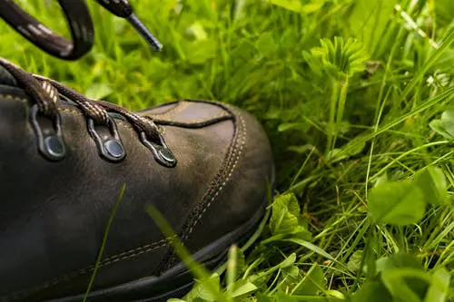 Gaasterland Wandeltocht