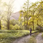 Wandeling Emmerdennen