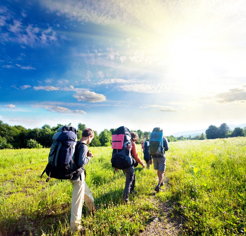 Wandelen door het Maasduinengebied