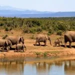 Top 5 vakantiebestemmingen